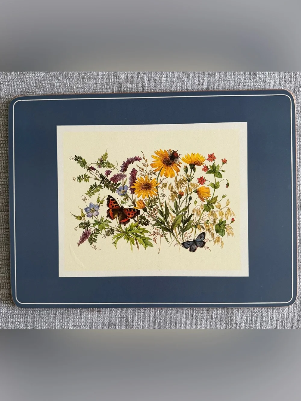 Set of Six Pimpernel English Butterfly Collection Cork-backed Placemats